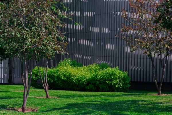 commercial lawn care services